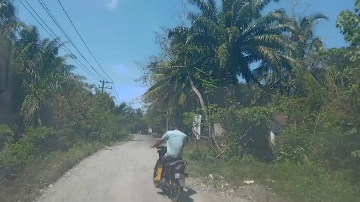 PUPR Nagan Raya Laporkan Kerusakan Box Jembatan di Jalan Lamie-Langkak ke Provinsi