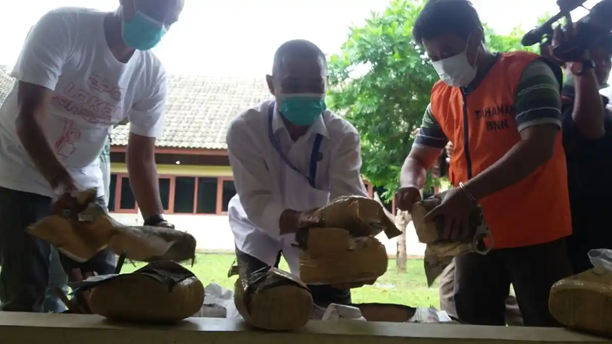 Dedi Gam Terindikasi Terlibat Jaringan Pengedar Ganja Antarkota