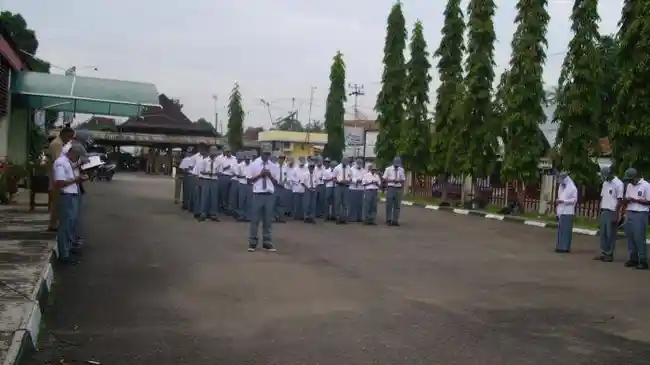 Tribun