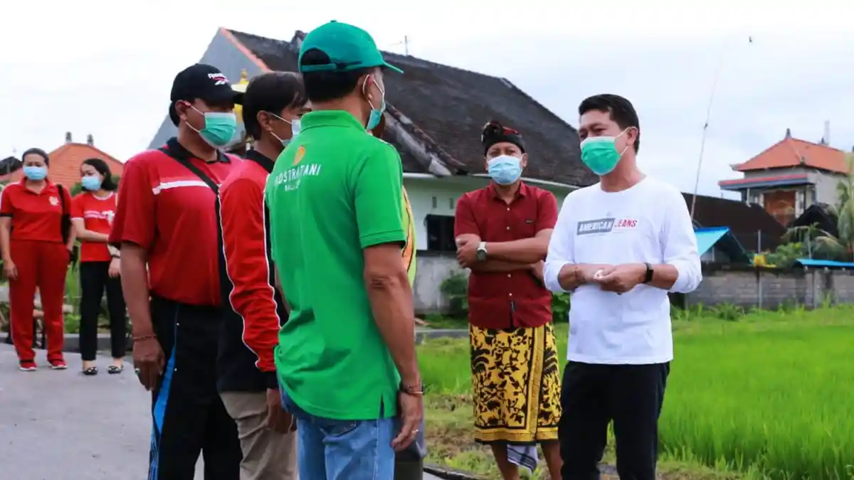 Perlancar Mobilitas Sektor Pertanian di Klungkung, Dinas Pertanian Diminta Susun Perencanaan JUT