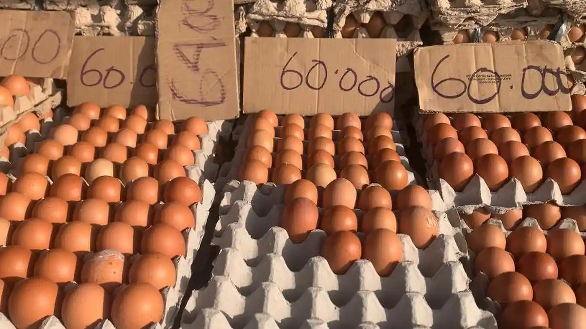 Harga Telur di Baubau Sulawesi Tenggara Masih Normal Jelang Ramadan ...