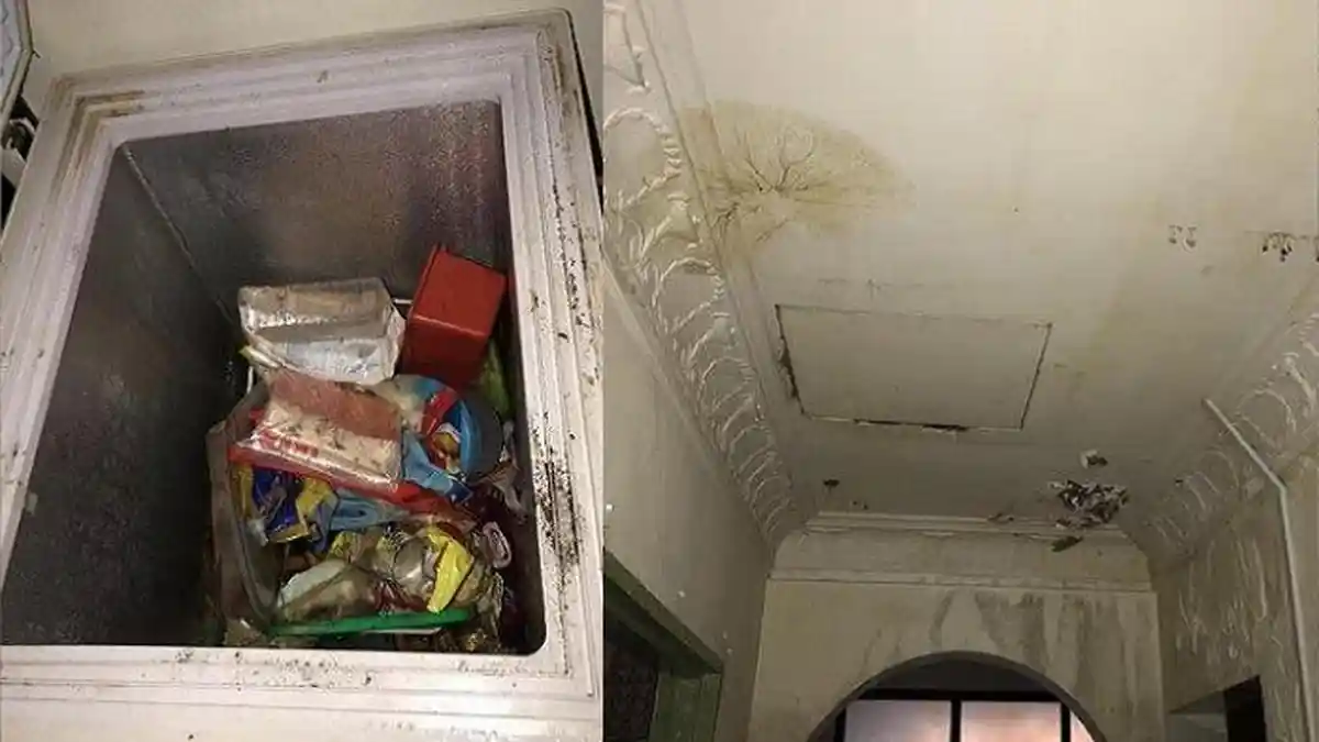 POPULER Terdampak Corona, Pemilik Rumah Syok Lihat Kondisi Kediamannya, Sempat Ditinggal 3 Bulan