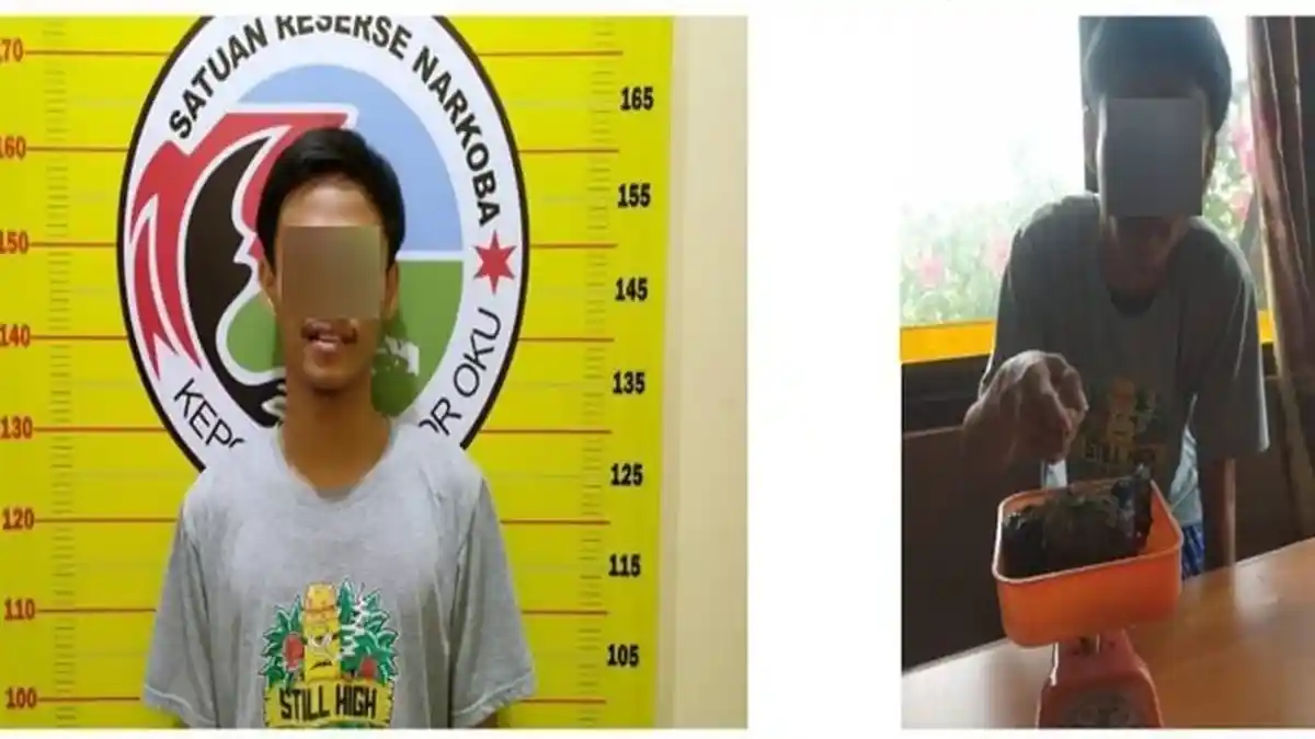 Kurir dan Pengedar Ganja Digulung Satnarkoba Polres OKU