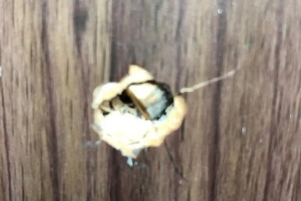 Ciri-ciri Peluru Temuan di Ruang Fraksi PAN dan Demokrat DPR RI, Penembaknya Sama