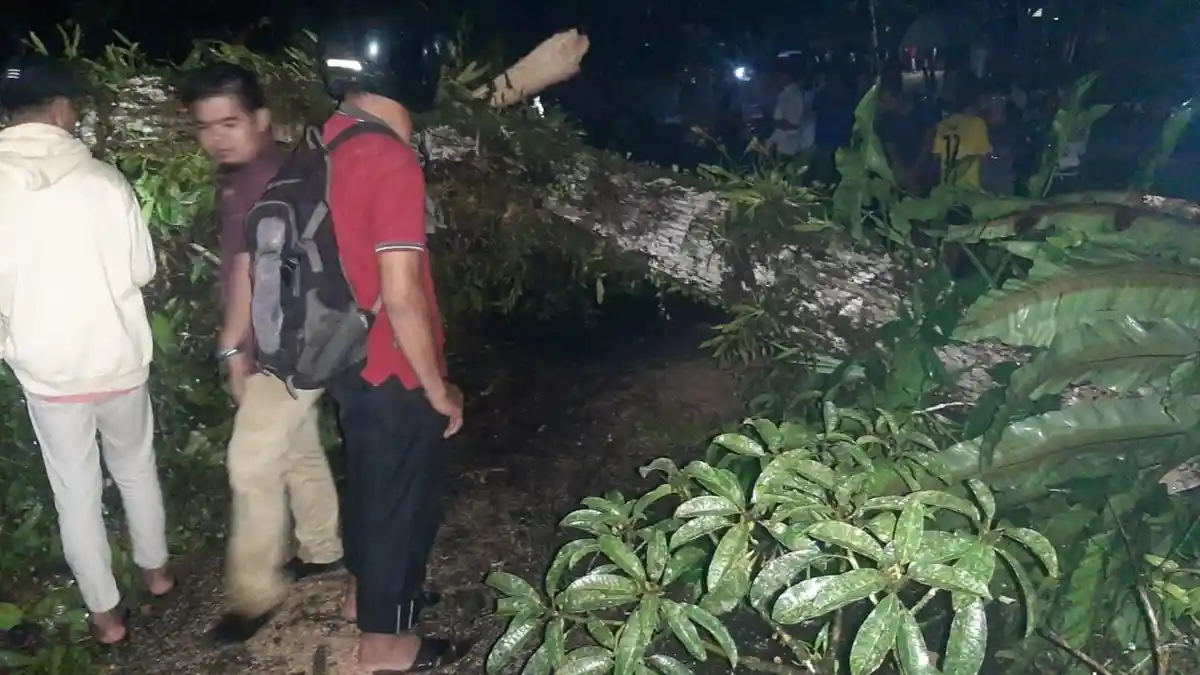 Polsek Bawolato Evakuasi Pohon Tumbang Tutupi Jalan di Desa Hiliwarokha