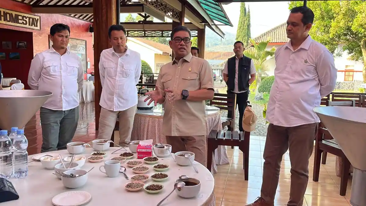 PTPN I Perkuat Hilirisasi Kopi Ijen, Tingkatkan Daya Saing Perluas ...