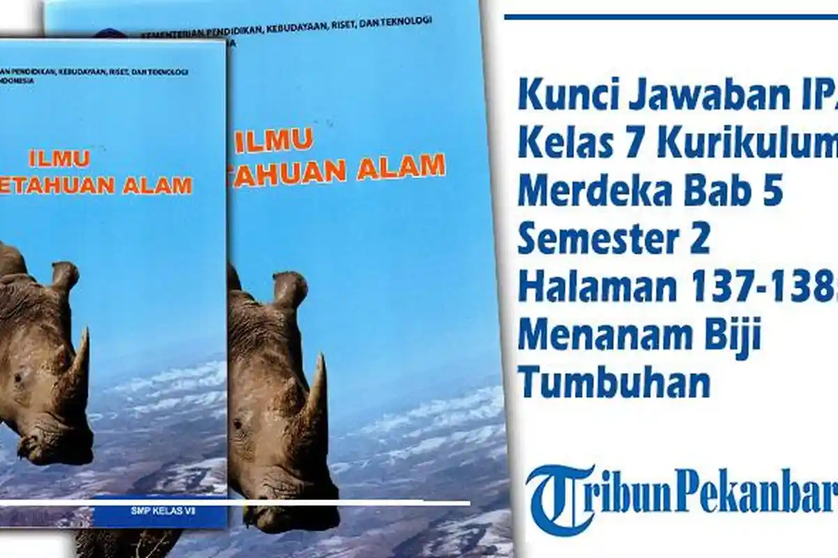 Kunci Jawaban IPA Kelas 7 Kurikulum Merdeka Bab 5 Semester 2 Halaman 137-138: Menanam Biji Tumbuhan