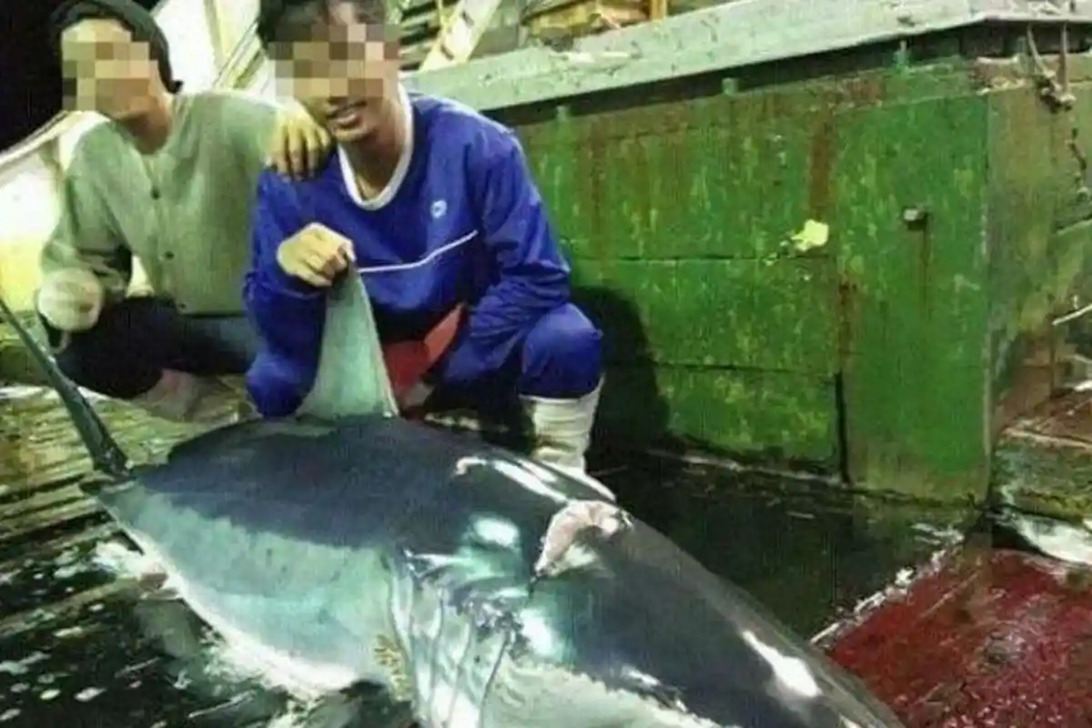 Nasib Pilu 45 ABK Indonesia di Kapal Ikan Asing, Gaji Belum Dibayarkan Sejak 2017, Total Rp 2,9 M