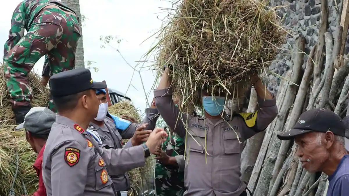 Pascaerupsi Gunung Merapi, Ganjar: Pakan Ternak Sudah Dikirim, Belum Ada Warga Mengungsi