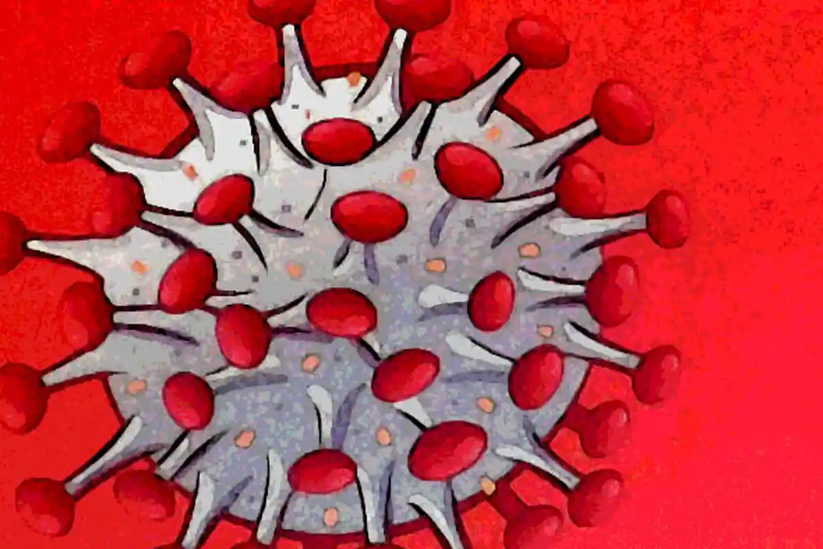 DAFTAR Terbaru 15 Zona Hijau Covid-19 di Indonesia: Cuma Ada di Papua dan NTT