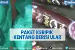 viral-paket-keripik-kentang-berisi-ular-petugas-curiga-barang-bergerak-gerak.jpg