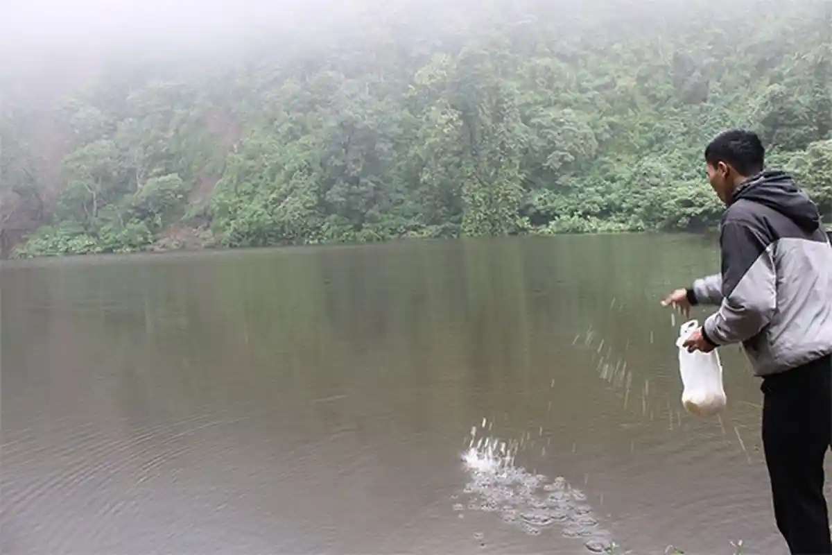 Ada Danau Telaga Warna yang Bisa Berubah Warna, Ini Lokasi Wisata Favorit di Jalur Cianjur-Puncak