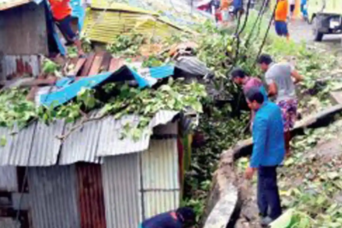 Nyawa Pengendara Motor Tak Tertolong Setelah Tertimpa Pohon Tumbang