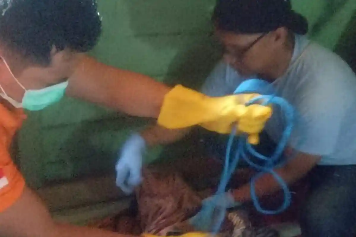 Polsek Upau Sita Alat yang Digunakan Henny Irianto Gantung Diri, Motif Masih Digali