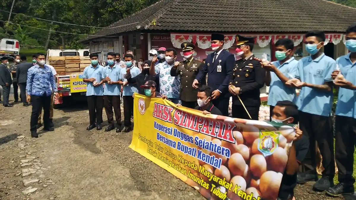 160 Peternak Gulung Tikar di Kendal, Dampak Anjlognya Harga Telur, Tiap Kilogram Merugi Rp 6.000