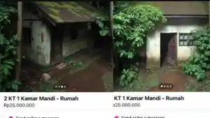 PENAMPAKAN-Rumah-Berlumut-Dijual-Rp25-Juta-hingga-Bikin-Joko-Anwar-Ingin-Beli-Fakta-Asli-Terkuak.jpg
