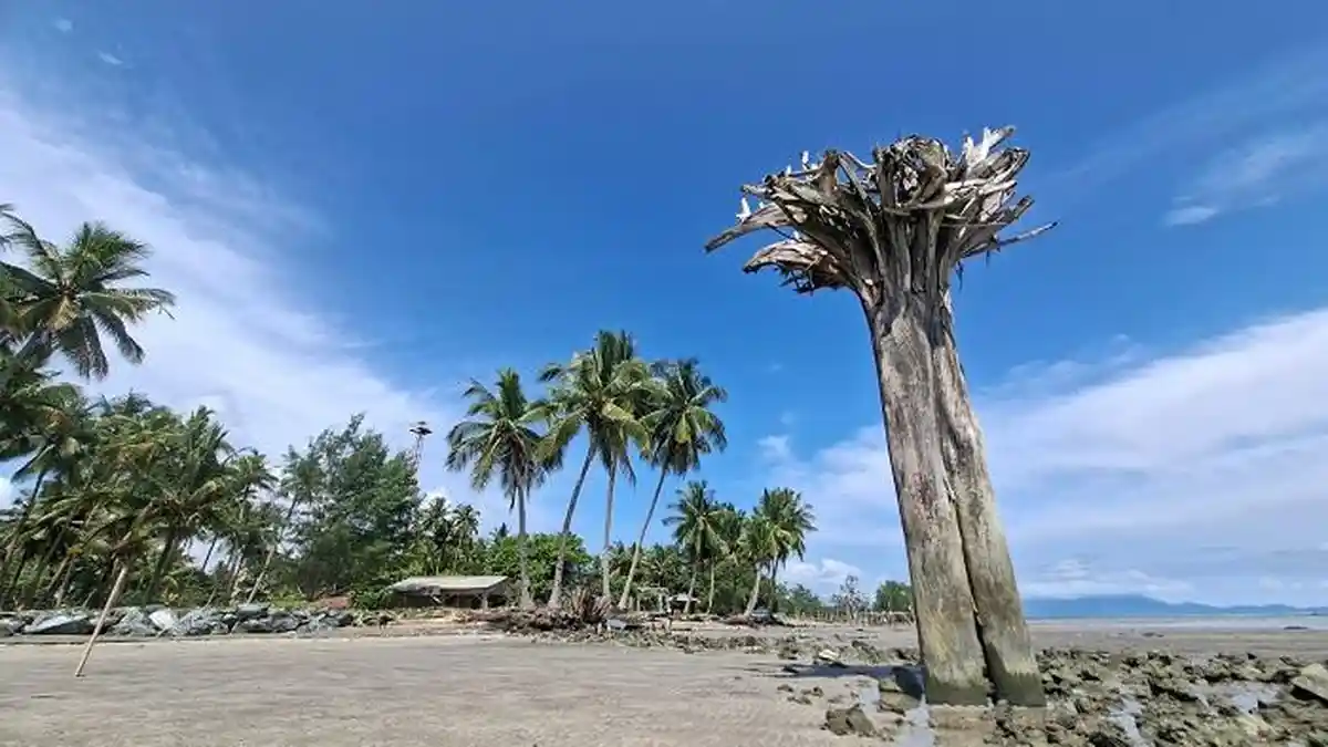 Wisata Kalsel: Mengunjungi Indahnya Pantai Sarona, Ketenangan di Ujung ...