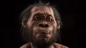 homo-naledi_20150925_115613.jpg