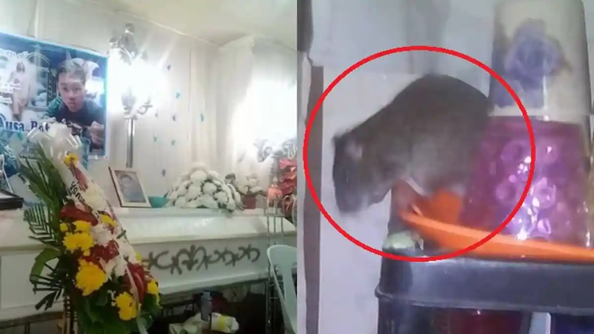 Sepele tapi Sering Terjadi, Pria Ini Menyantap Makanan Terbuka di Meja, 5 Hari Kemudian Ia Tewas