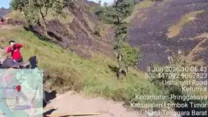 kebakaran_savana_propok_200292828.jpg