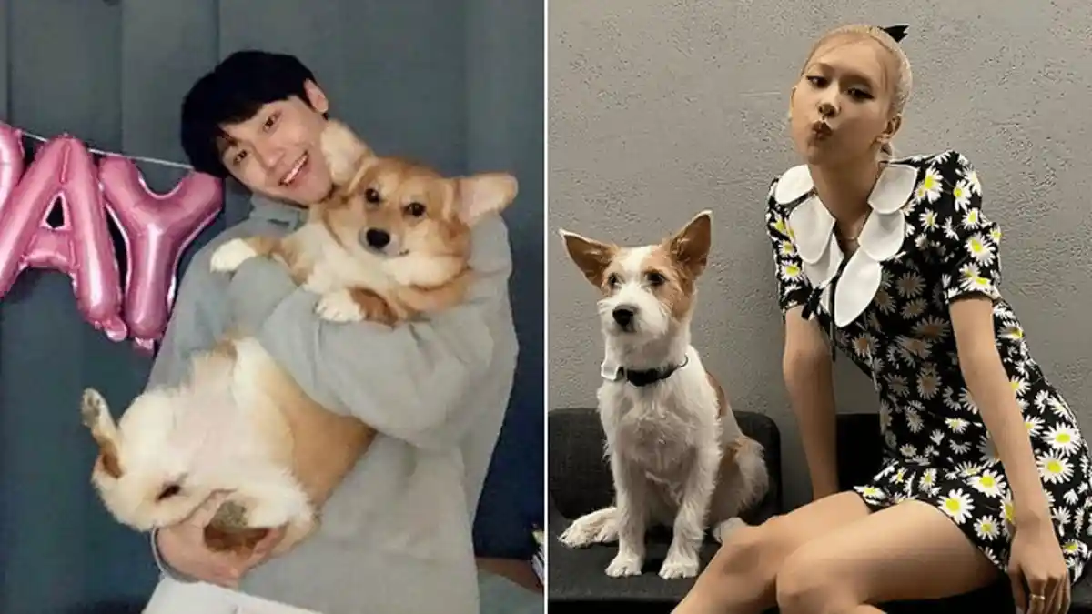 6 Artis Korea yang Adopsi Anjing Terlantar & Buat Mereka Terkenal, Ada Rose BLACKPINK & Lee Do Hyun