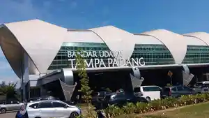Penebangan-Lesu-Bandara-Tampa-P.jpg
