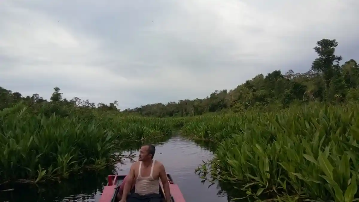 Ini Kecamatan Tertinggi dan Terendah dari Permukaan Laut di Aceh Singkil