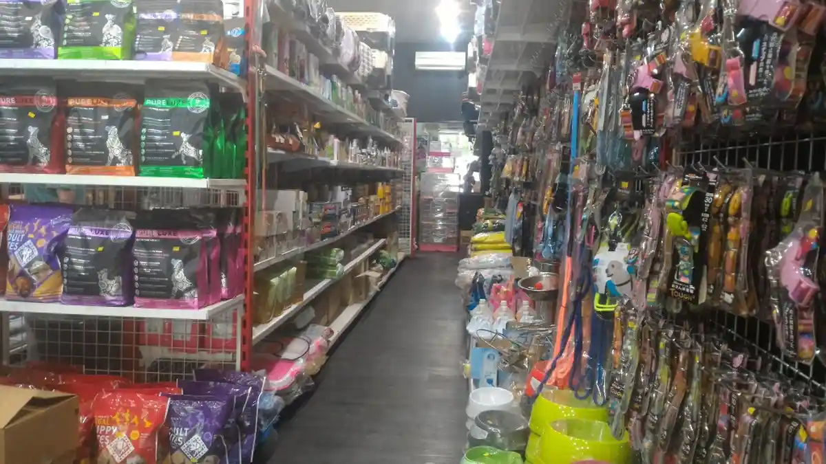 Jelang Lebaran Kunjungan Petshop dan Pet Hotel di Sunter Ini Naik 40 Persen