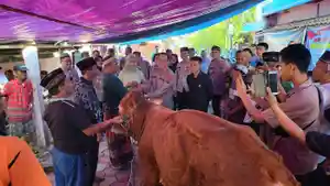 Polrestabes Palembang Kurban Sapi dan Kambing, Daging Dibagikan hingga ke Panti Asuhan