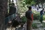 pohon-tumbang-metro_20160202_153922.jpg