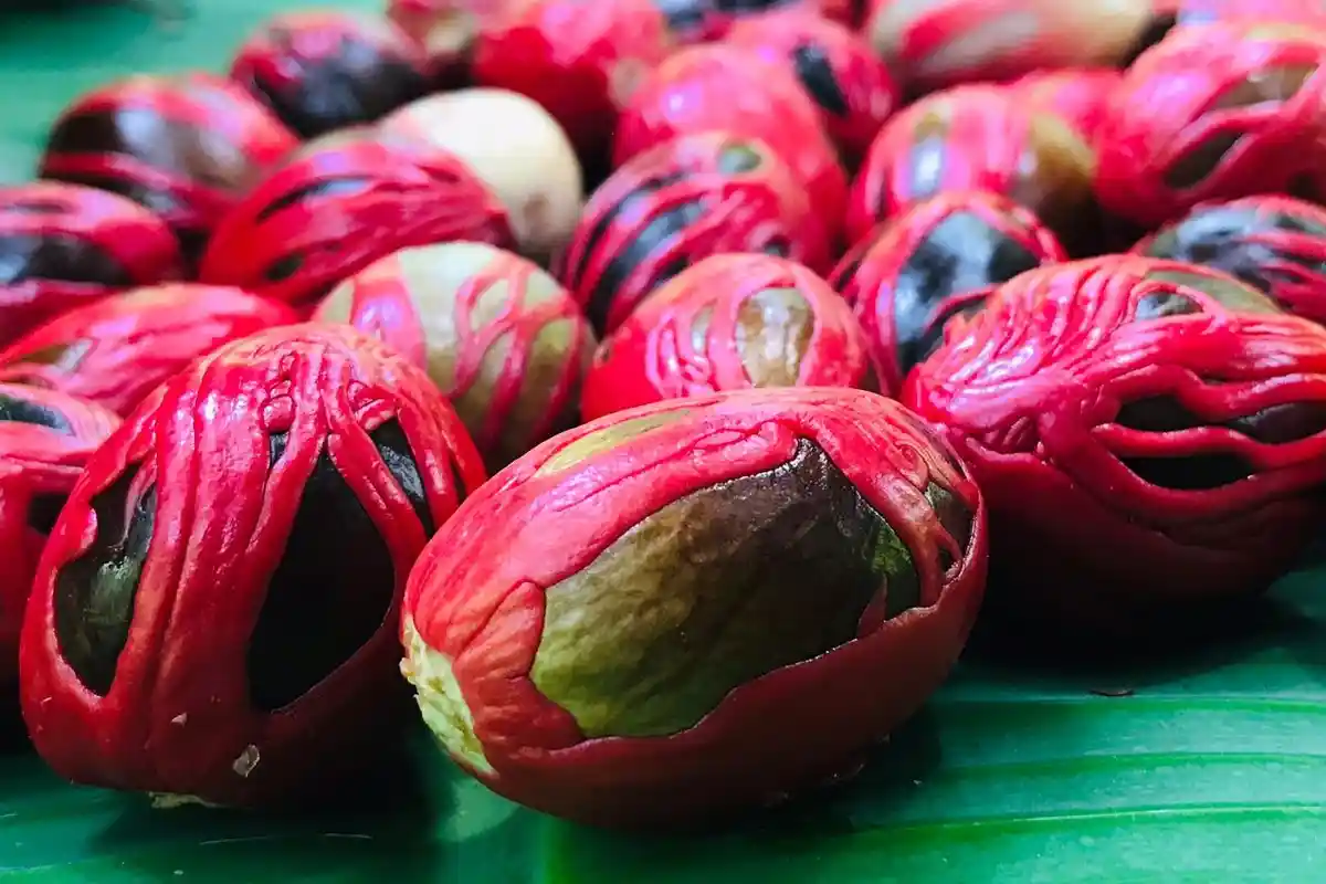 Harga Rempah Ternate, 25 Agustus 2022: Fuli Bertahan di Harga Rp 245 Ribu per Kilogram