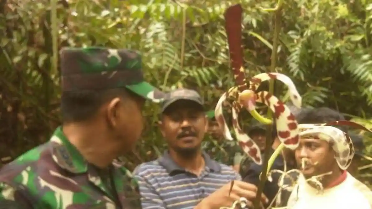 Tiga Desa Muaro Sebo Tertawan Hutan Anggrek Pematang Damar