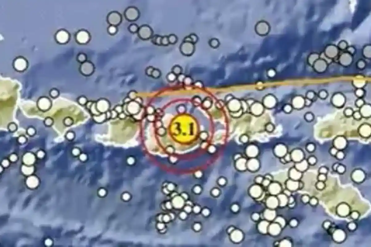 Gempa Terkini Jumat 7 Juli 2023 Malam, Pusatnya di Kedalaman 10 Km, Info BMKG Kekuatan dan Lokasinya
