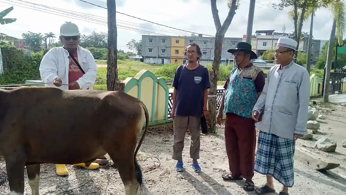 Idul Adha di Karimun, PWI dan Data Stok Hewan Kurban dari Pemerintah