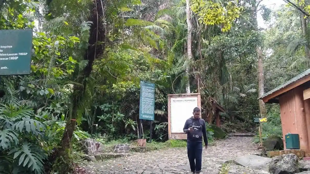 Pandemi, Satwa Langka di Gunung Gede Pangrango Bertambah dan Lebih Berani Keluar dari Habitat