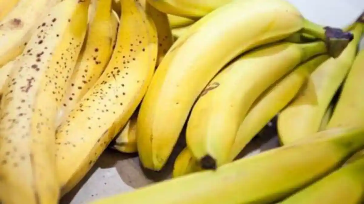 Jenis Pisang yang Baik Dikonsumsi untuk Penderita GERD atau Asam Lambung