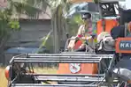 Bupati Nunukan Turun ke Sawah, Panen Padi Bareng Petani di Mansapa, Dampaknya untuk Ketahanan Pangan