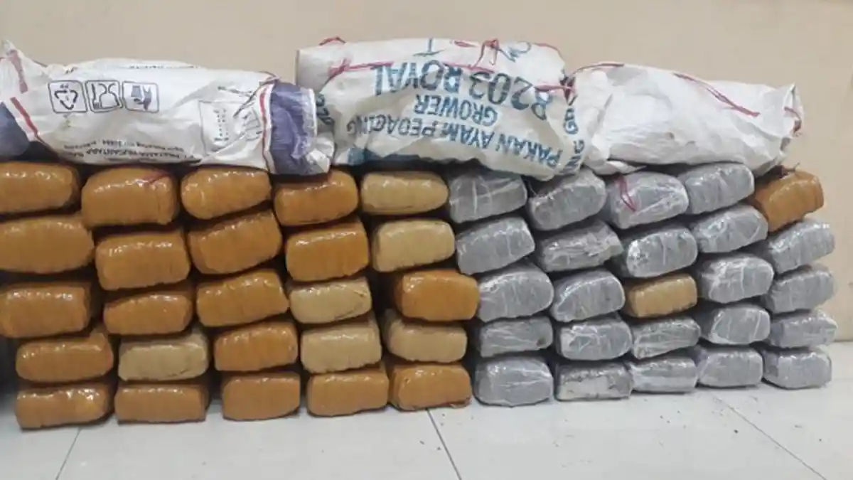 Diwarnai Letusan Senjata Api, Sat Resnarkoba Agara Amankan 50 Kg Ganja, Pelaku Melarikan Diri