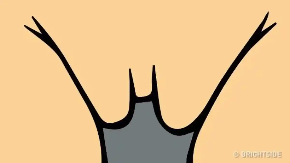 Caramu Melihat 10 Gambar Ini Bisa Tentukan Usiamu Sebenarnya, Ini Gambar Apa?