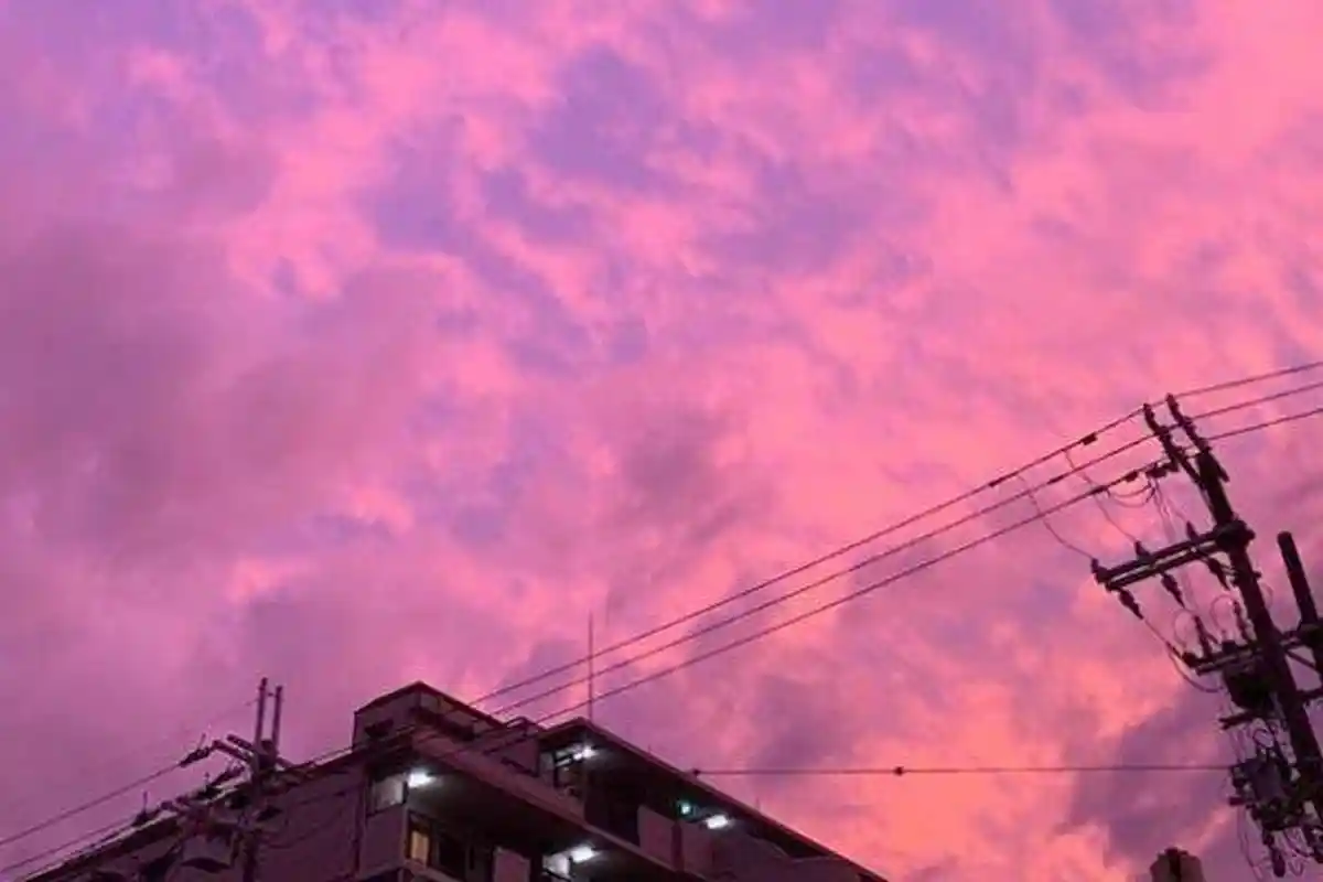 Dahsyatnya Badai Hagibis Jepang yang Mengerikan, Sampai Buat Korban Tewas di Dalam Mobil Terbalik