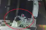 Pelaku-Sempat-Pantau-Situasi-hingga-Kencing-Depan-Apotek-Dzaky-Farma-Kendari-Sebelum-Curi-Kursi-Besi.jpg
