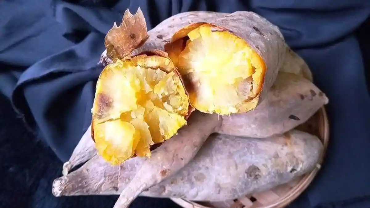 Mengenal Ubi Cilembu dan Manfaatnya, Bolehkah Pengidap Diabetes ...
