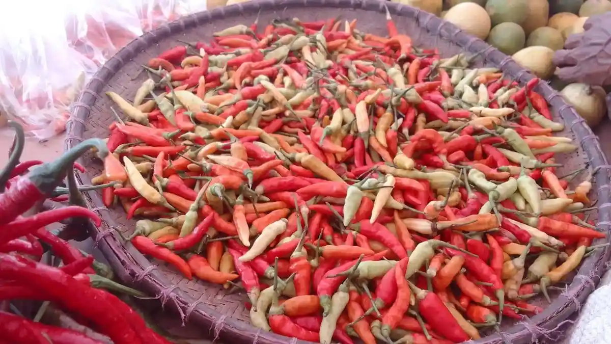 Pasokan Berkurang, Harga Cabai di Pasar Bula Naik Tembus Rp 100 Ribu Per Kilo