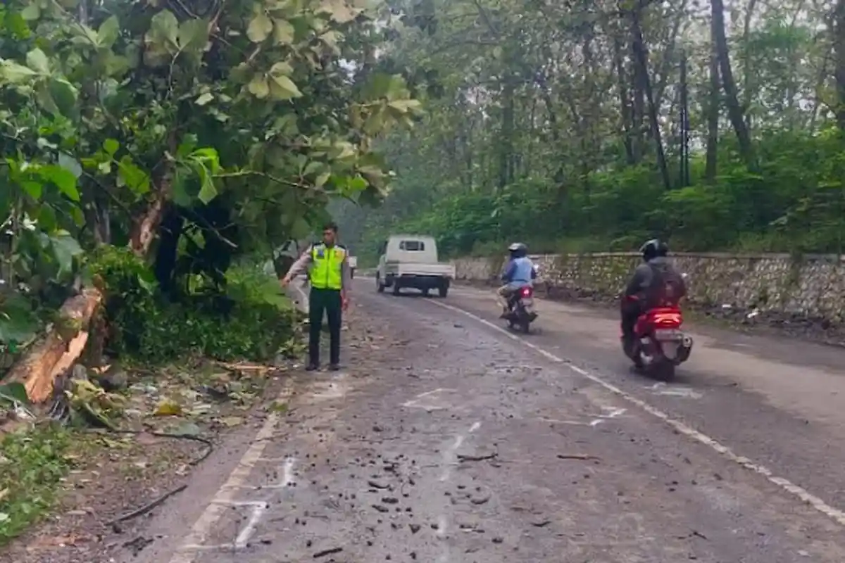 Kecelakaan di Jalur Pantura Gresik, Perempuan 21 Tahun Penumpang Mobil Calya Tewas
