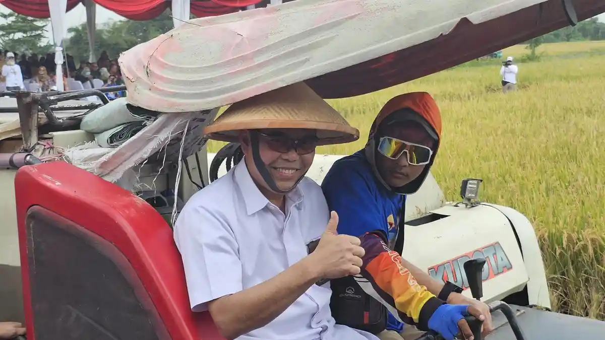 Bulog Libatkan TNI dan Polri saat Proses Serap Gabah Petani, Untuk Apa?