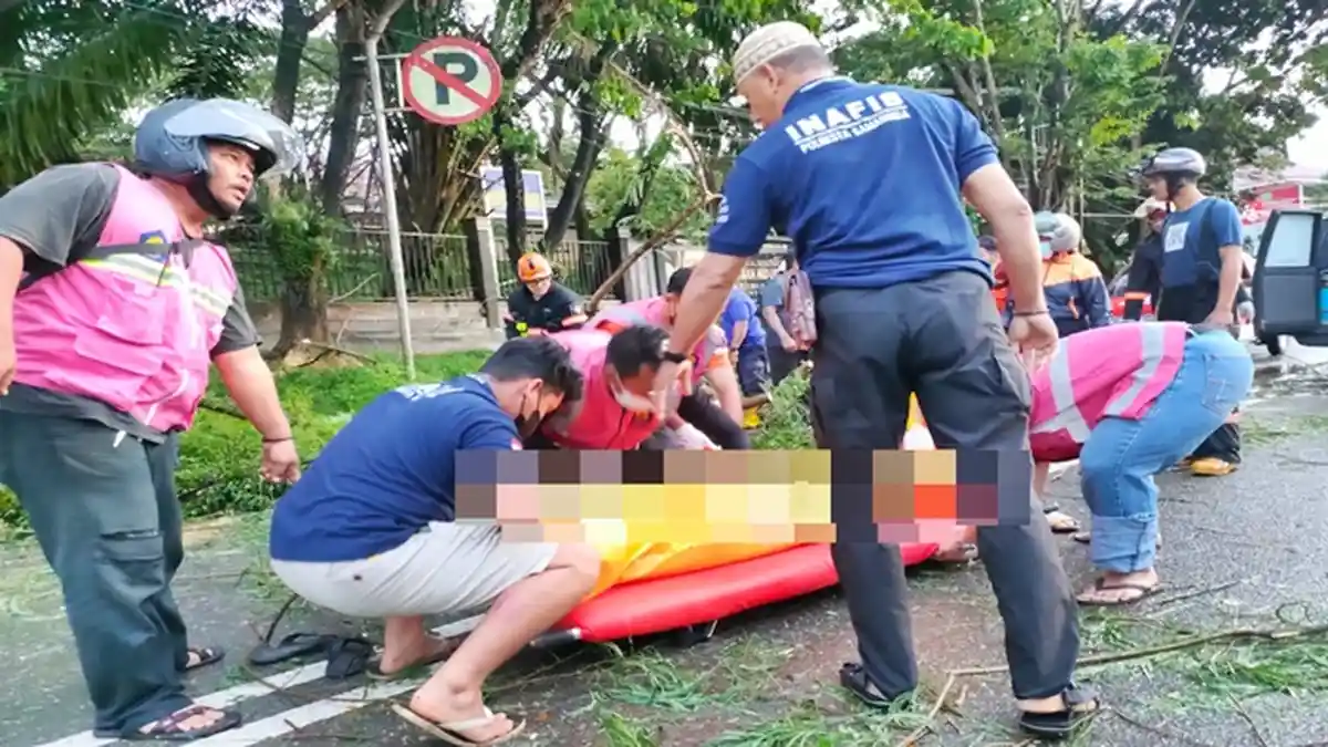 Warga di Samarinda Kaget Lihat Ada Pemuda Tewas, Diduga Tertimpa Pohon Tumbang