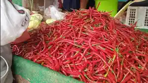 Cabai-merah-di-pasar-batanghari.jpg