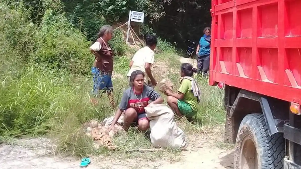 Gagal Panen dan Ternak Tak Laku Akibat Terdampak Covid-19, Warga di NTT Terpaksa Makan Ubi Beracun