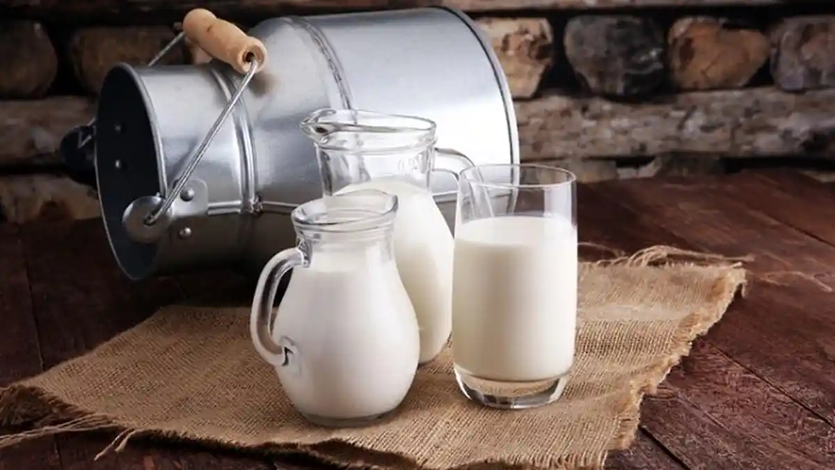 Susu Dingin Disebut Mampu Redakan Asam Lambung, Begini Faktanya