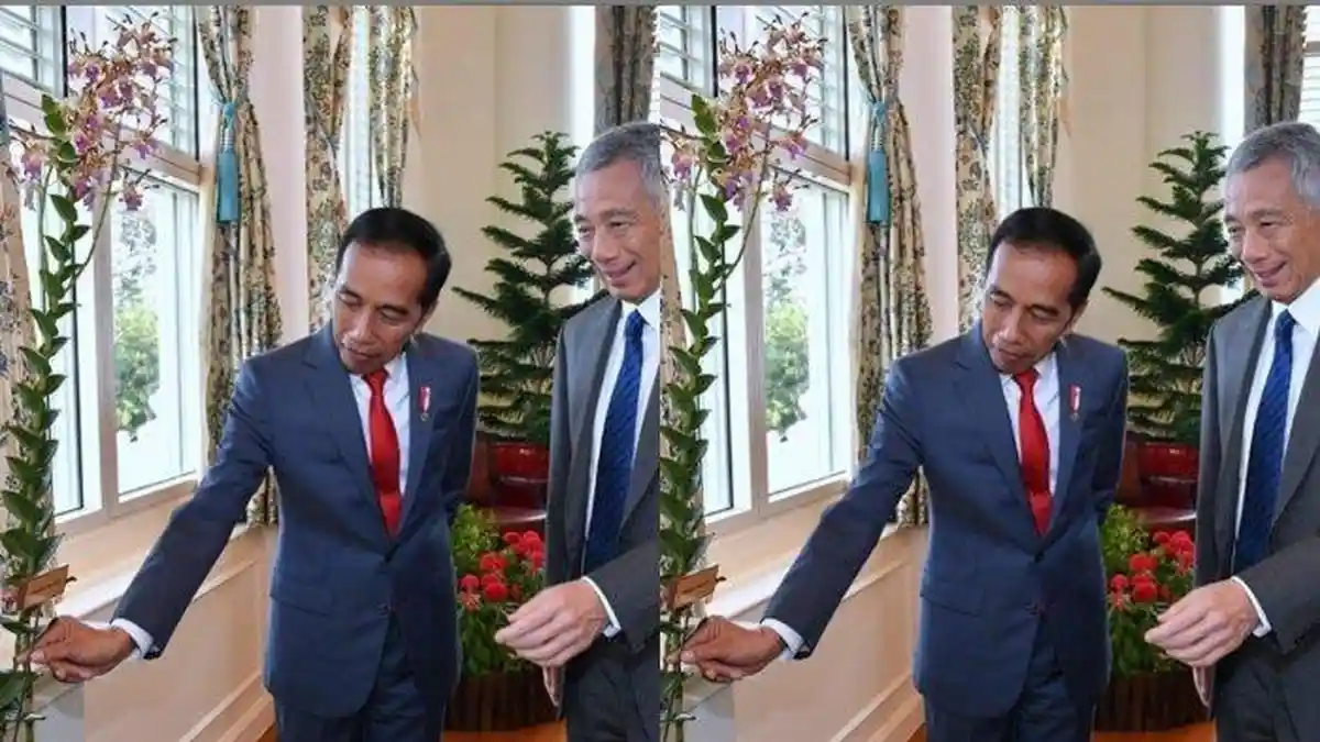 Kunjungi Singapura, Jokowi Dipameri Bunga Anggrek Dendrobium Iriana Jokowi, Ini Asal Usul Namanya